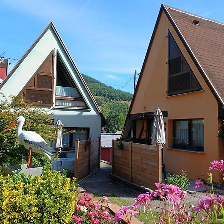 Gite Pinot Gris Et Gite Pinot Blanc Kaysersberg-Vignoble Exteriör bild
